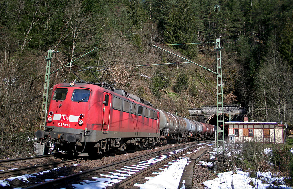 Pipeline im tiefen Wald