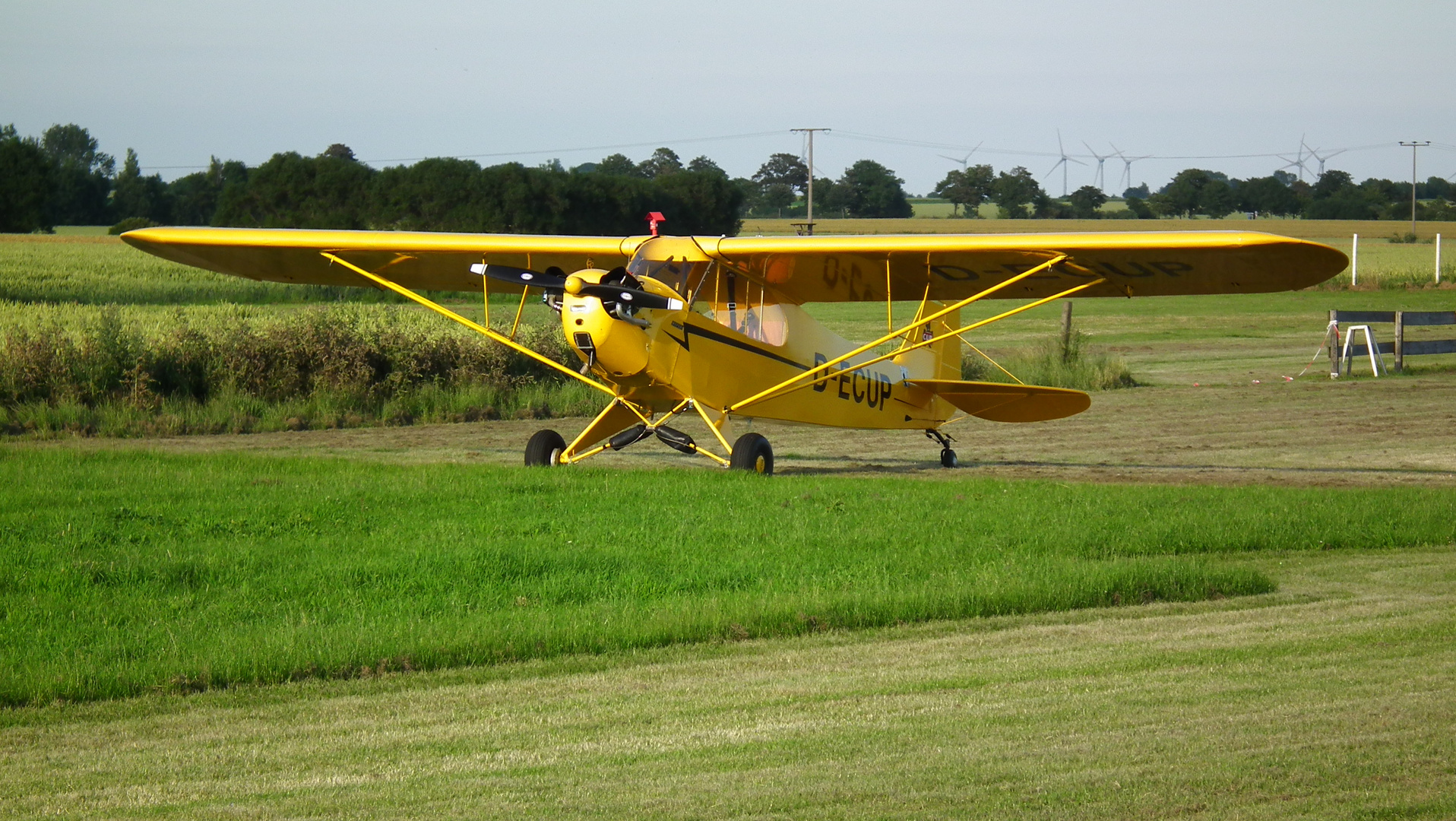 Piper Cub D-ECUP auf Fehmarn