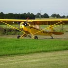 Piper Cub D-ECUP auf Fehmarn