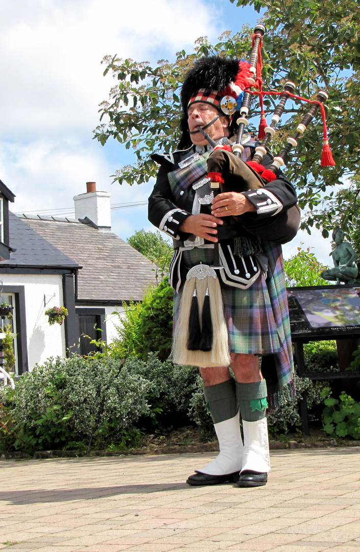 Piper in Gretna Garden