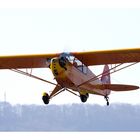 Piper J-3C-65 Cub