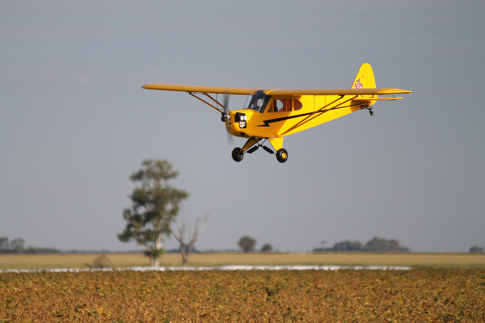 Piper J3 Cub R/C