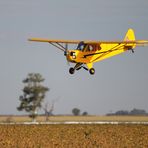 Piper J3 Cub R/C