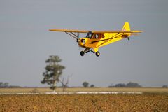 Piper J3 Cub R/C