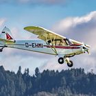 Piper PA 18 Super cup