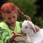 Pipi im Walter Zoo