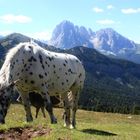 Pippi Langstrumpf lebt jetzt im Grödnertal