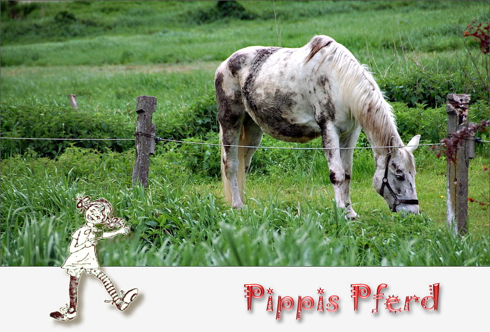 Pippis Pferd