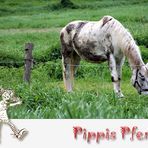 Pippis Pferd