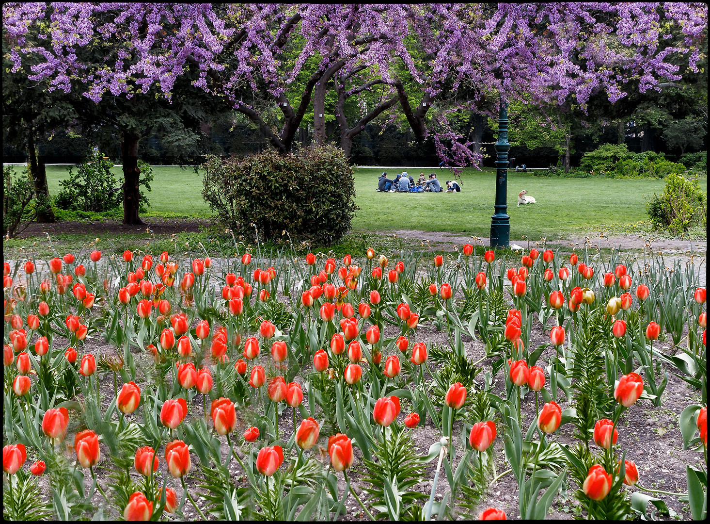 pique nique im stadtpark...  