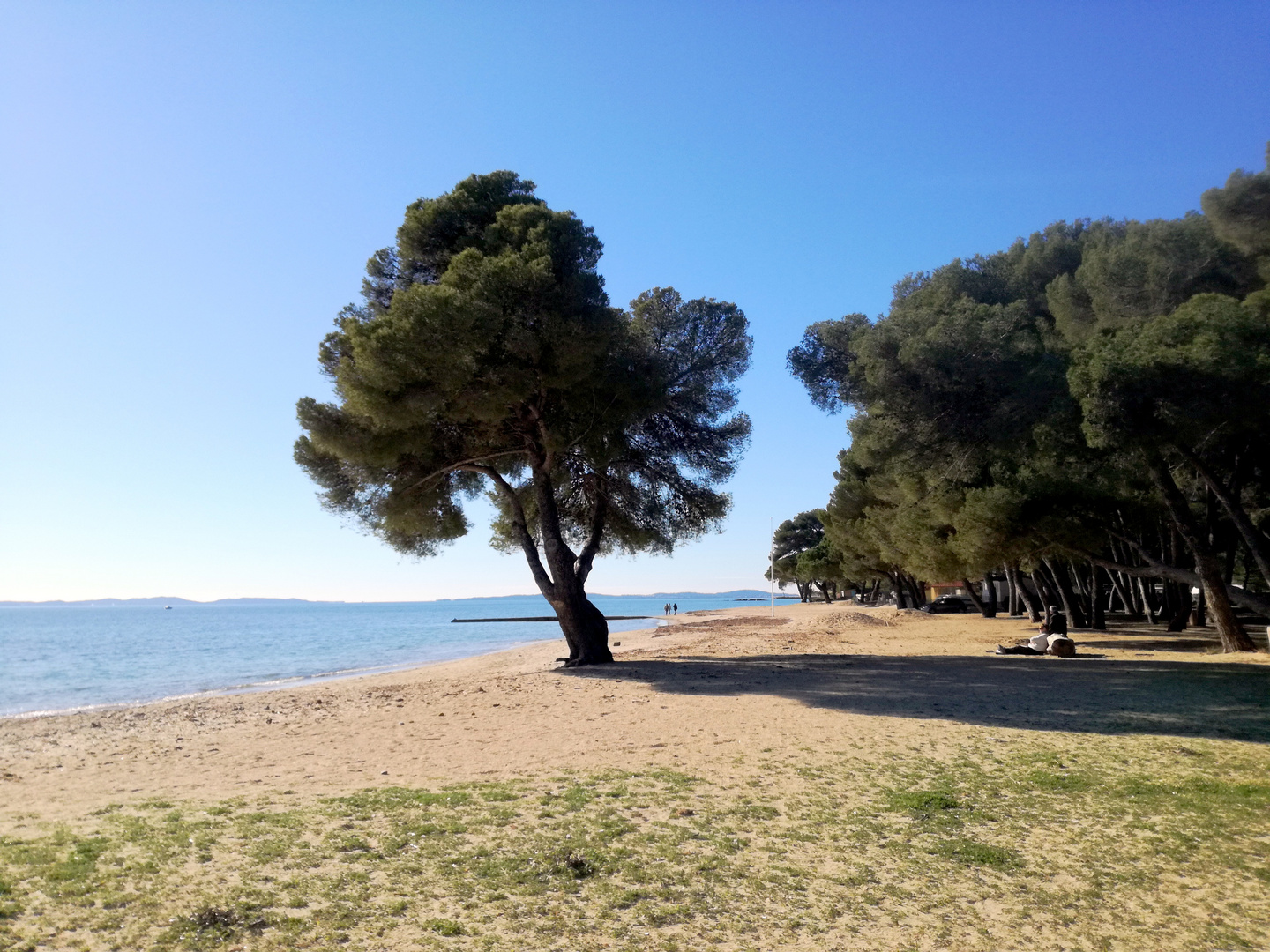 Pique nique sur la plage - 18-01-2021 !