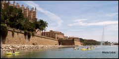 - Piraguas en la Seu -
