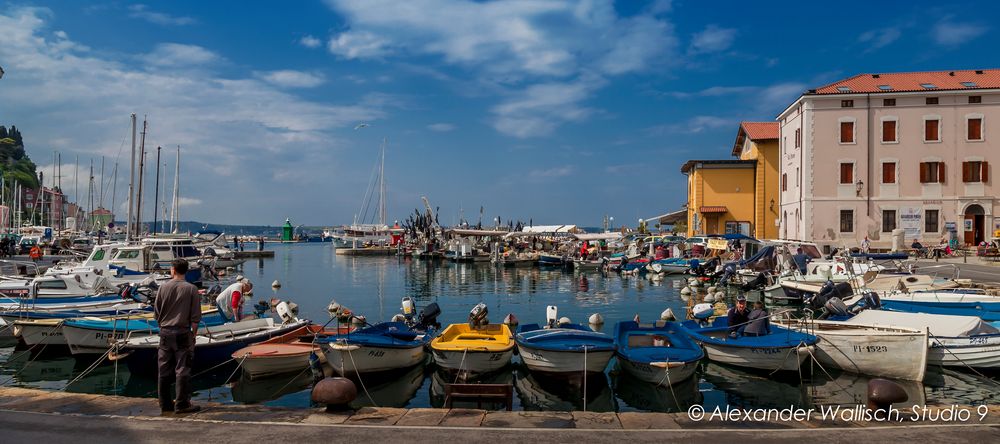 Piran Hafen