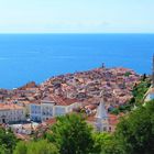 Piran (SLO)