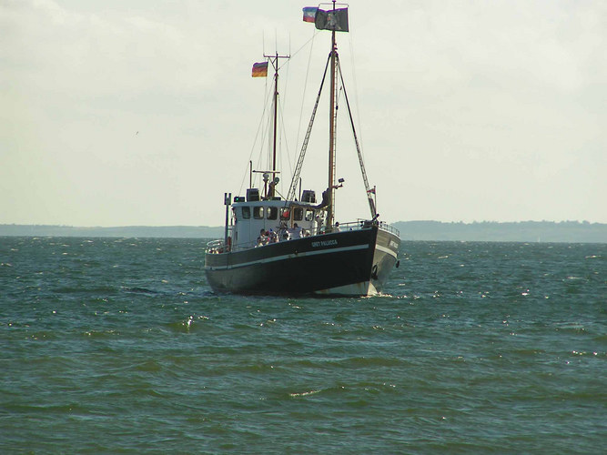 Piraten