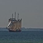 Piraten