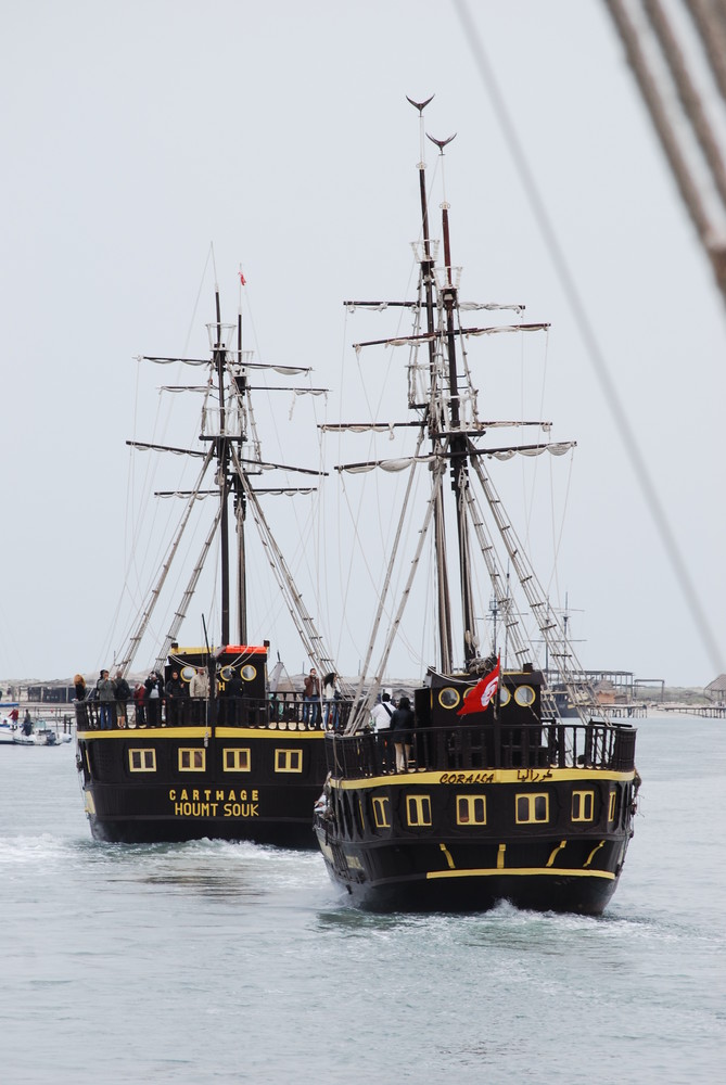 Piratenfahrt auf die Flammingoinsel