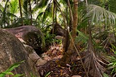 Pirateninsel Seychellen