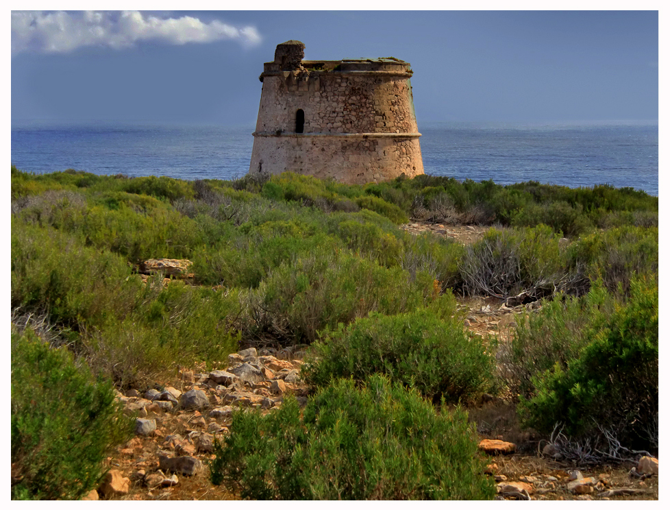 Piratenturm an Rosmarin