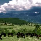 Pirin Mountain 2