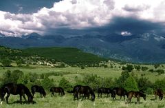 Pirin Mountain 2