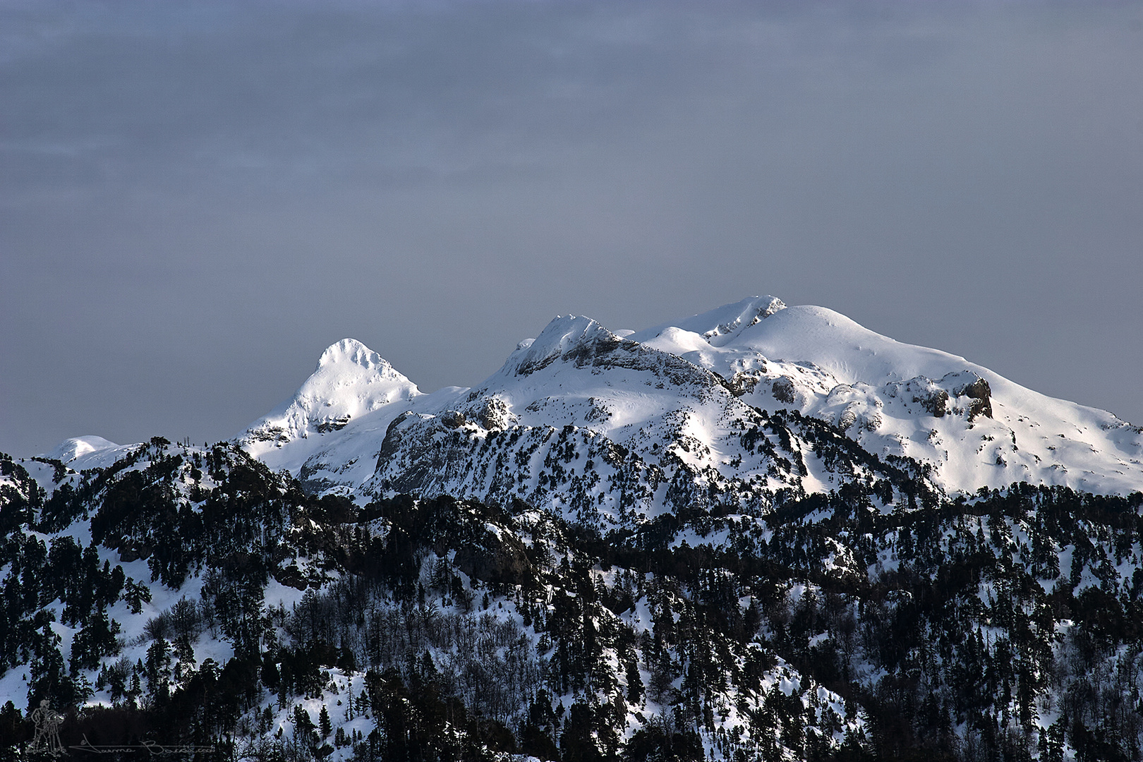 Pirineo