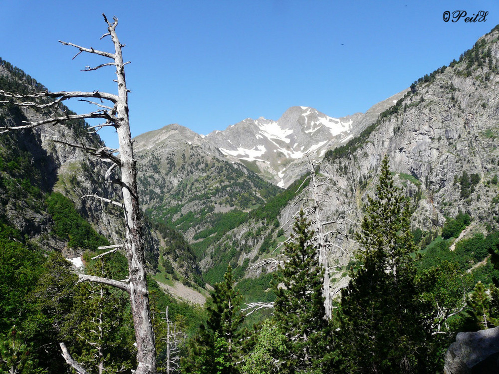 Pirineo Aragones