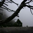 Pirineos. Camino de Ulldeter