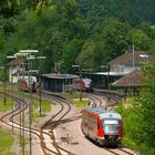 Pirmasens Nord und die Baureihe 642