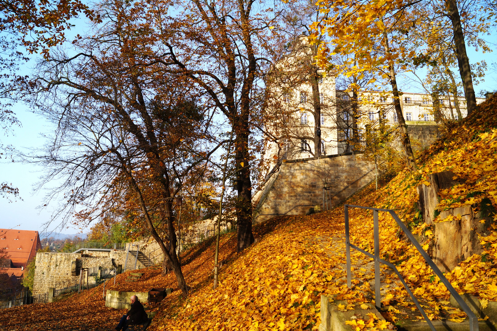 Pirna Sonnenstein Herbst 2014