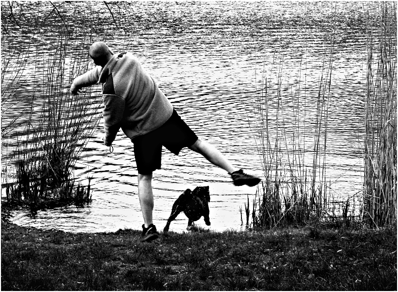 Pirouette mit Hund