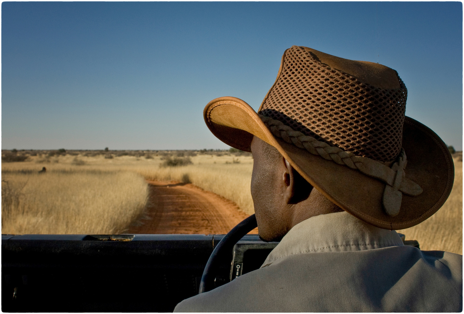 Pirschfahrt in die Kalahari