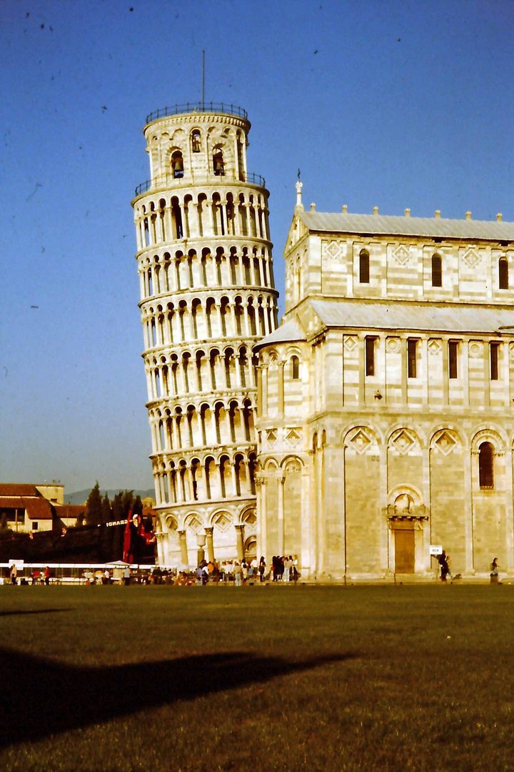 Pisa