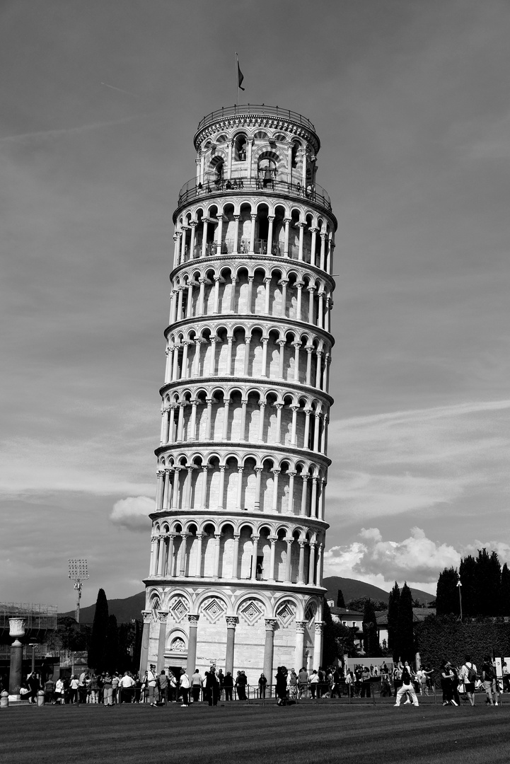 Pisa