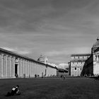 Pisa