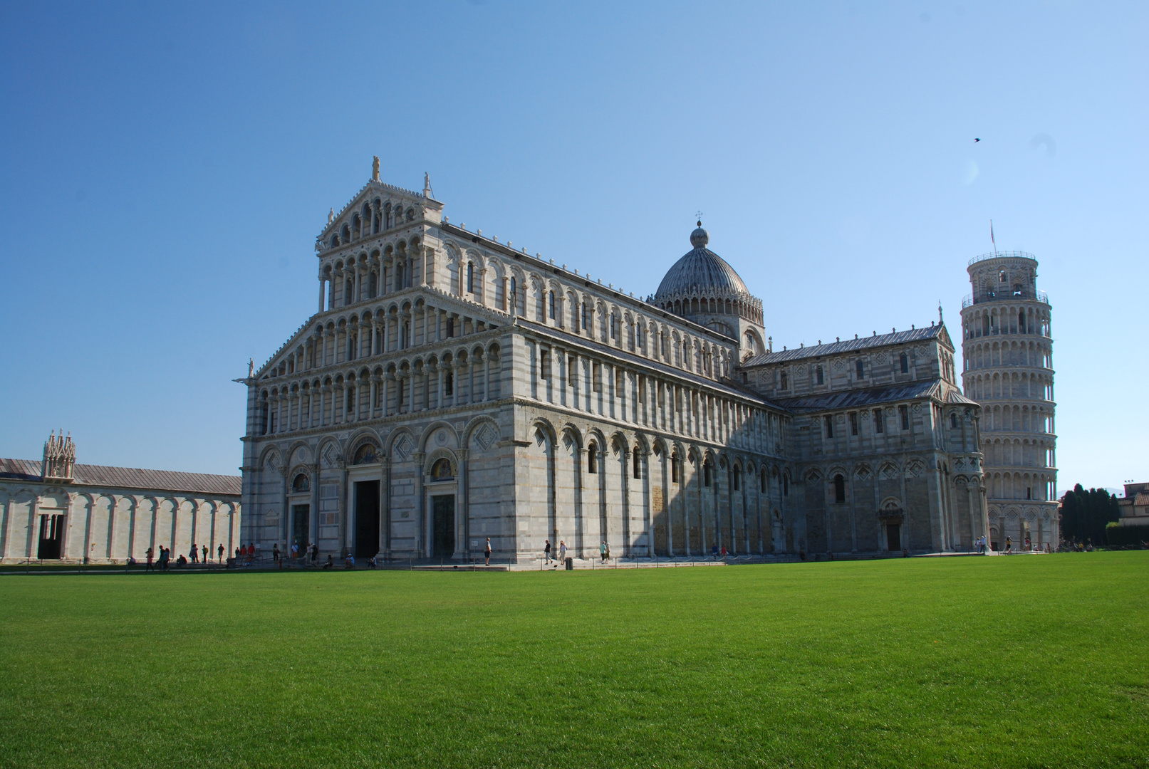 Pisa 