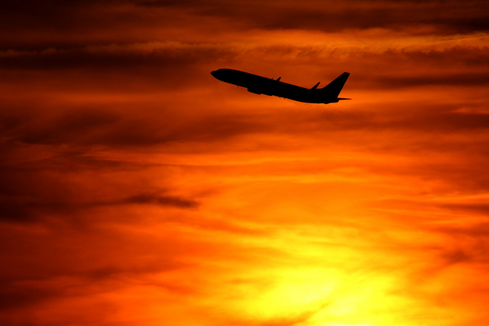 pisa international airport