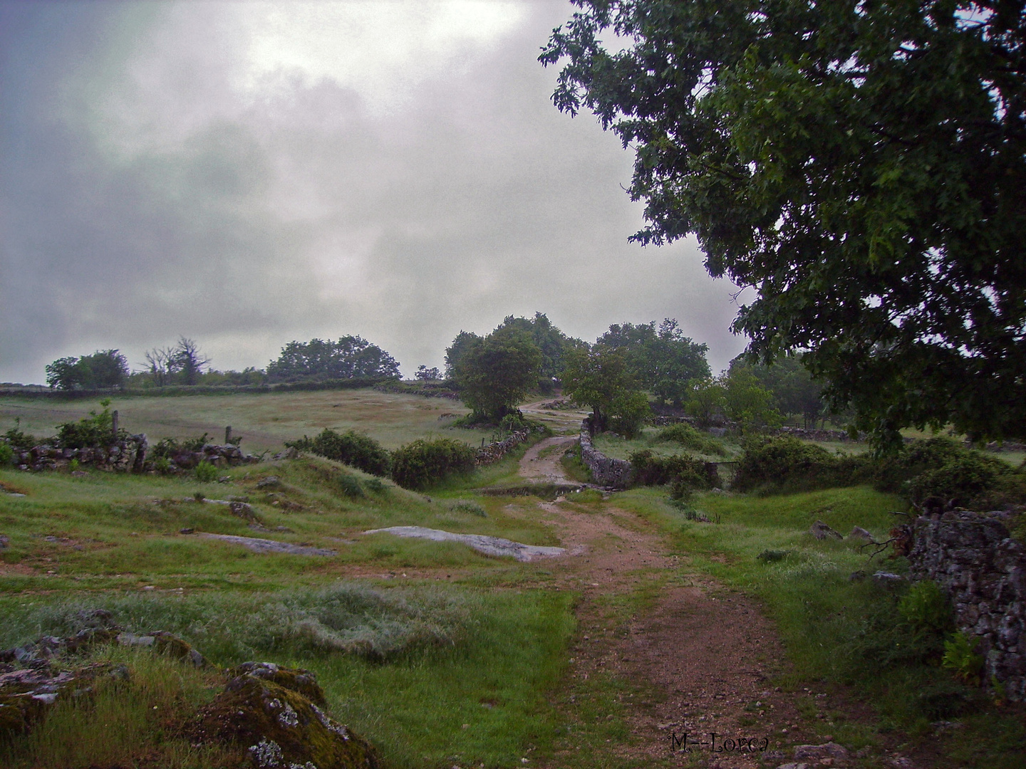 pisaje de colmenar de montemayor