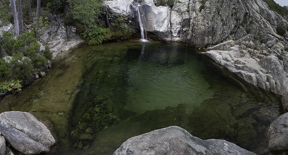 [ … Piscia di Gallo - Gumpe ]