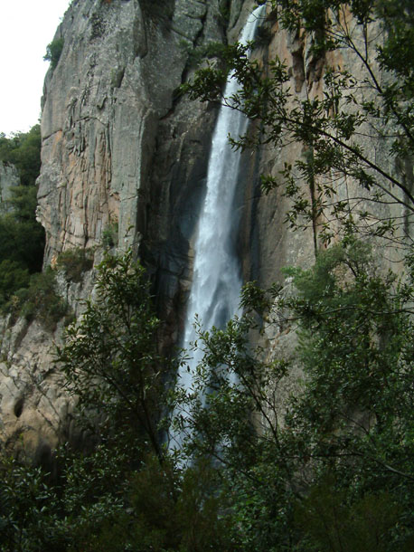 Piscia di Gallo - Hahnenpiss