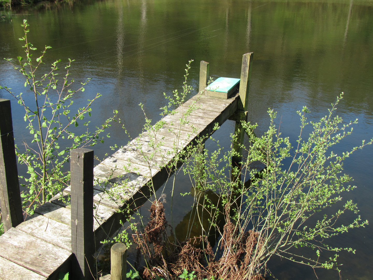 Pisciculture de Mirwart Belgique