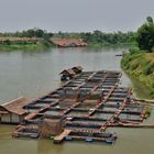 Pisciculture in Nam Ngum river