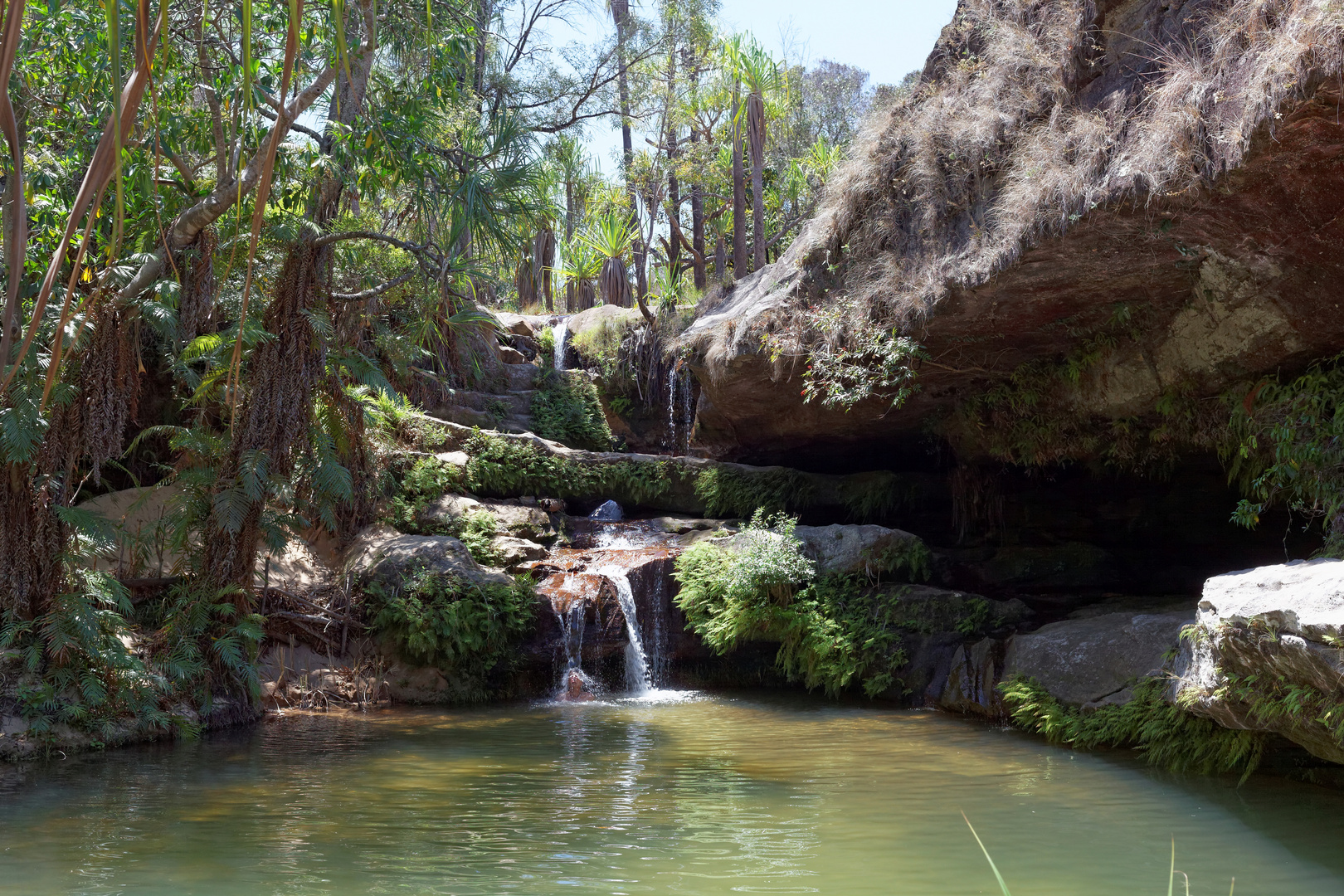 Piscine Naturel