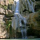 Piscine naturell