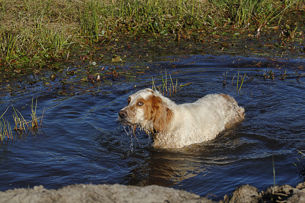 piscine naturelle !!!!