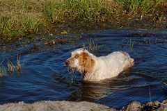 piscine naturelle !!!!