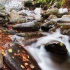 piscines del Montseny