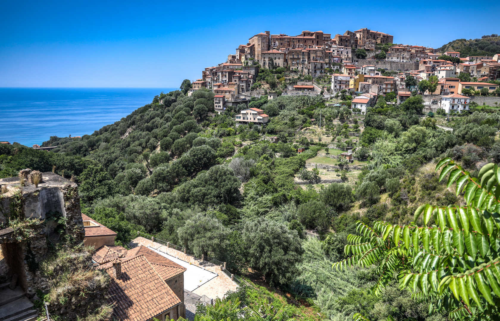 Pisciotta