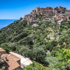 Pisciotta