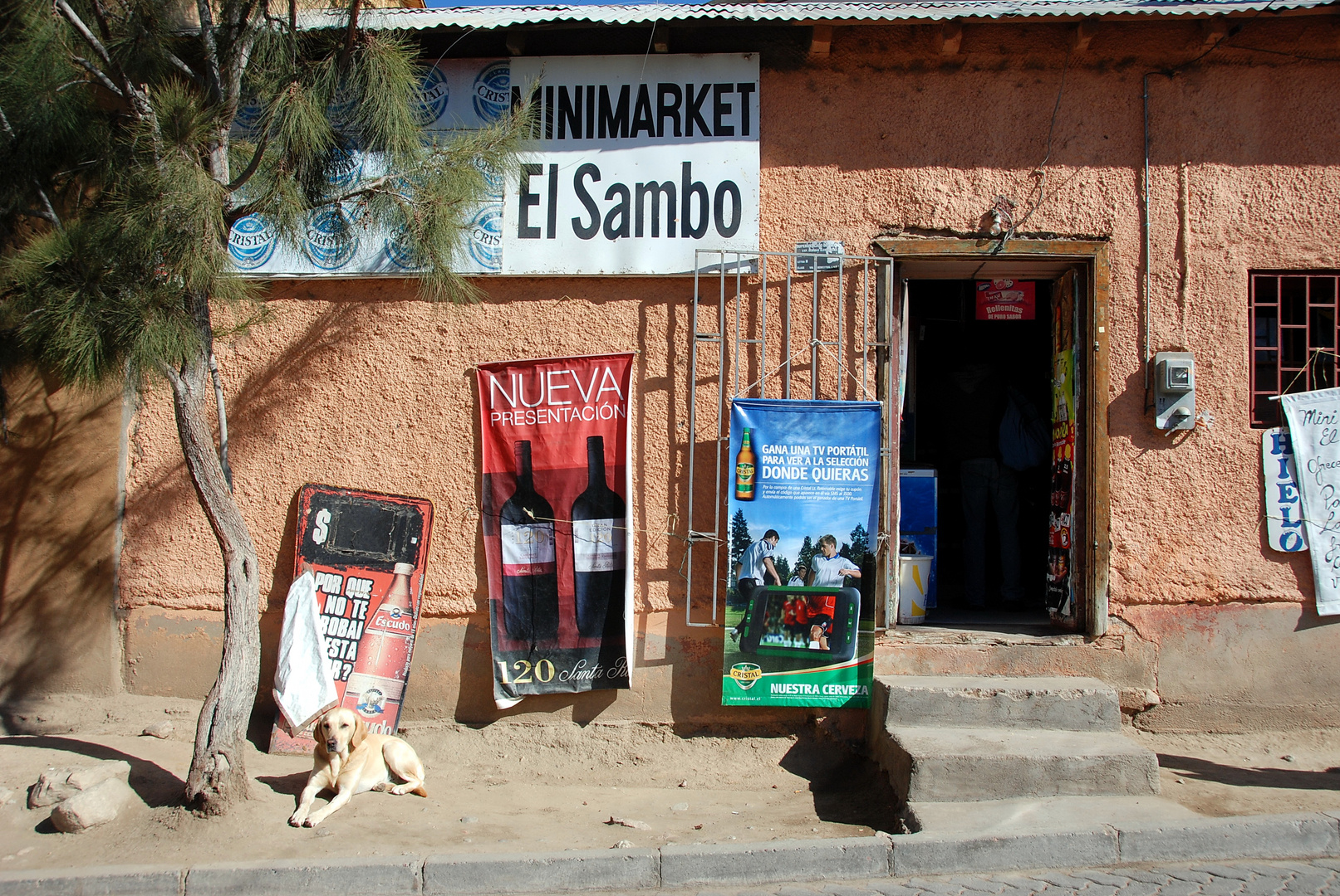 Pisco Elqui  (Valle del Elqui)  - Foto 0085